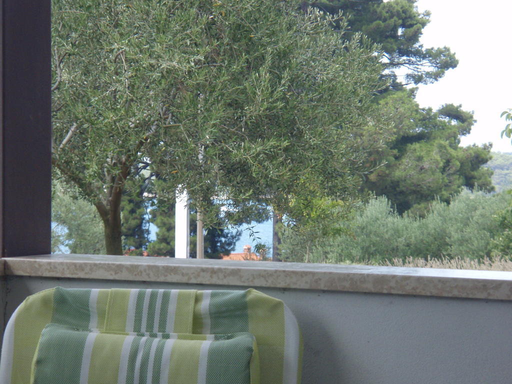 Guest House Zohil Rovinj Quarto foto